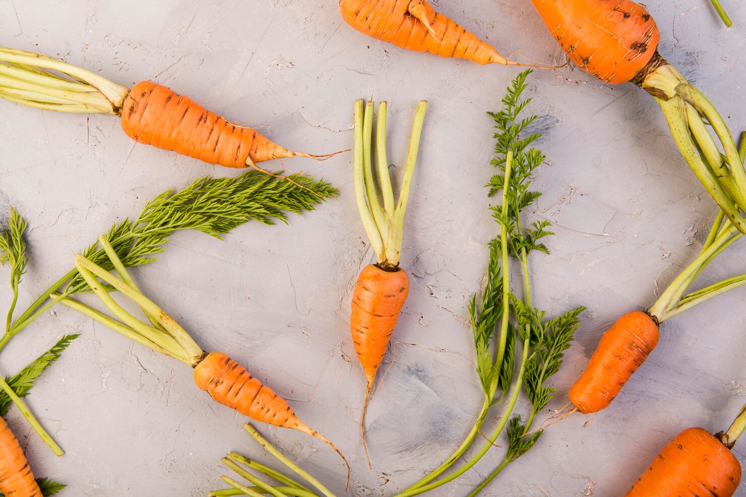 Zanahorias